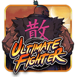 Ultimate Fighter™
