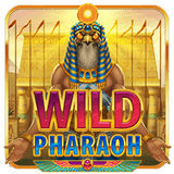 Wild Pharaoh™